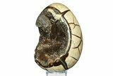 Septarian Dragon Egg Geode - Sparkly Black Crystals #308835-2